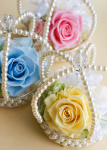 フリーレッスン